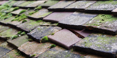 Old Sodbury roof repair costs